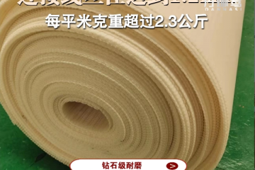 工业滤布哪里有-厂家直销按需定制{丹娜鸶过滤}